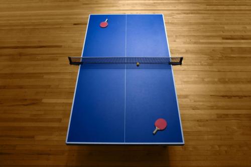 Tavolo ping-pong